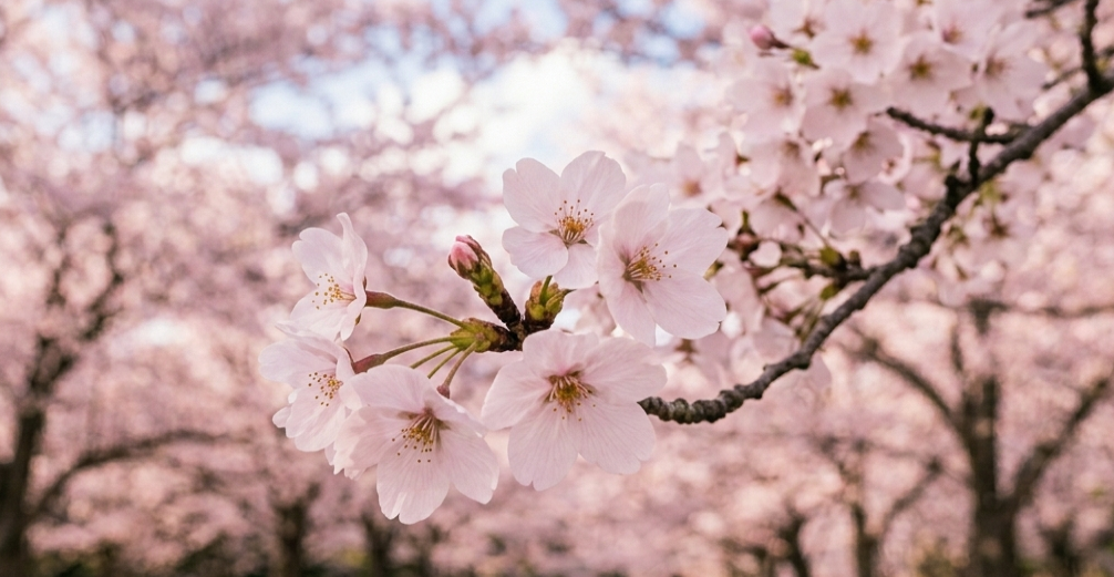 2026年度も 新入社員が新たな一歩を踏み出しました